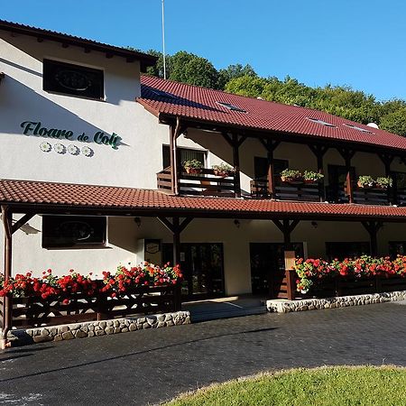 Pensiunea Floare De Colt Poiana Galdei Εξωτερικό φωτογραφία