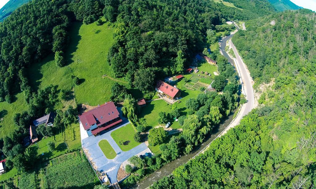 Pensiunea Floare De Colt Poiana Galdei Εξωτερικό φωτογραφία